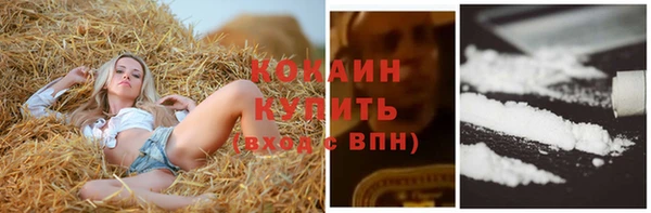 стафф Алзамай
