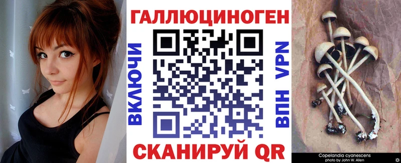 kraken ССЫЛКА  Данилов  Галлюциногенные грибы MAGIC MUSHROOMS 