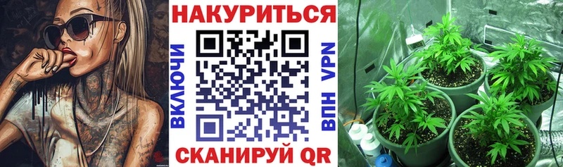 наркота  Данилов  Конопля марихуана 
